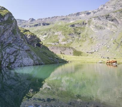 lac du badet