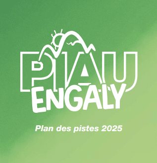 skieur montagne piau npy